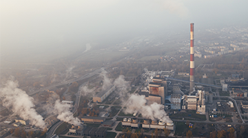 1647324596630053018.png xw17.png